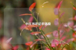 小红书评论求链接