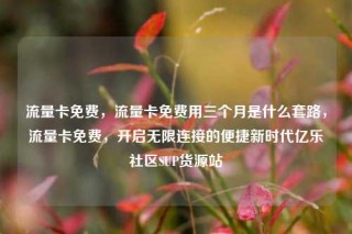 流量卡免费，流量卡免费用三个月是什么套路，流量卡免费，开启无限连接的便捷新时代亿乐社区SUP货源站