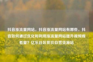 抖音涨流量网站，抖音涨流量网站有哪些，抖音如何通过优化和利用涨流量网站提升视频观看量？亿乐社区低价自营货源站