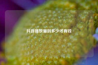 抖音播放量到多少才有钱