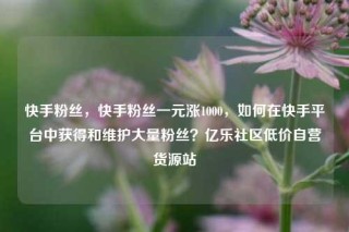 快手粉丝，快手粉丝一元涨1000，如何在快手平台中获得和维护大量粉丝？亿乐社区低价自营货源站