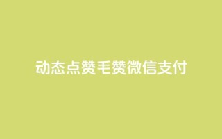 qq动态点赞1毛10000赞微信支付,ks双击飞速 - 块兽业务24小时在线下单最便宜 - 快手业务平台24小时在线