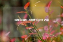 读懂中国经济的成长壮大之道