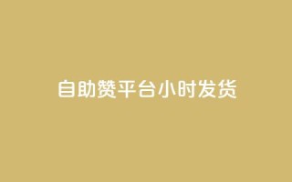 自助赞平台24小时发货,快手涨赞涨流量 - 抖音dy播放量软件 - dy业务微信