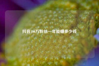 抖音100万粉丝一年能赚多少钱