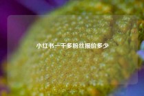 小红书一千多粉丝报价多少