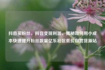 抖音买粉丝，抖音变现利器，揭秘如何用小成本快速提升粉丝数量亿乐社区低价自营货源站