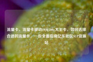 流量卡，流量卡移动19元200g大王卡，如何选择合适的流量卡，一份全面指南亿乐社区SUP货源站