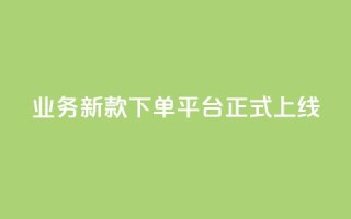 KS业务新款下单平台正式上线