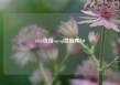 idea连接mysql数据库8.0