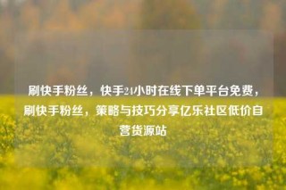 刷快手粉丝，快手24小时在线下单平台免费，刷快手粉丝，策略与技巧分享亿乐社区低价自营货源站