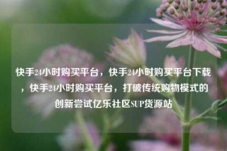 快手24小时购买平台，快手24小时购买平台下载，快手24小时购买平台，打破传统购物模式的创新尝试亿乐社区SUP货源站