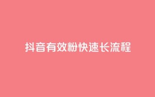 抖音500有效粉快速长流程,ks一毛一千赞 - qq黄钻便宜充值网站 - 抖音充值1:10入口