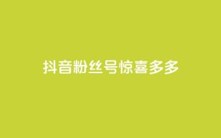 抖音粉丝号 惊喜多多.cn,粉丝增加软件 - 抖音巨量千川直播有收益吗 - 快手免费刷欢击