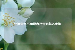 纯流量卡不知道自己号码怎么查询