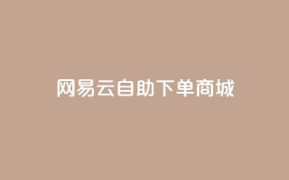 网易云24h自助下单商城,抖音24小时业务平台 - ks和快手是一个平台 - 抖音卖粉丝