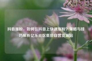 抖音涨粉，如何在抖音上快速涨粉？策略与技巧解析亿乐社区低价自营货源站