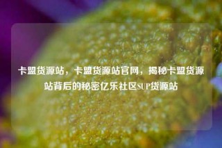 卡盟货源站，卡盟货源站官网，揭秘卡盟货源站背后的秘密亿乐社区SUP货源站