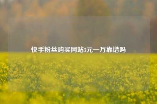 快手粉丝购买网站3元一万靠谱吗