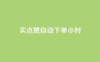 买点赞 自动下单 24小时,抖音一元100个赞秒到网站 - 雷神QQ业务平台 - 抖音业务下单24小时自助