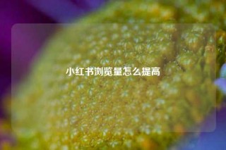 小红书浏览量怎么提高