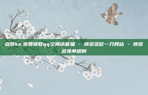 点赞ks,免费领取qq空间访客量 - 拼多多砍一刀网站 拼多多免单规则  第1张