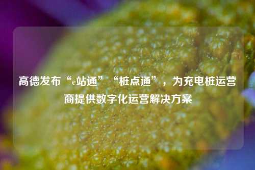 高德发布“e站通”“桩点通”，为充电桩运营商提供数字化运营解决方案  第1张