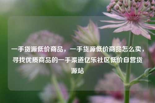 一手货源低价商品，一手货源低价商品怎么卖，寻找优质商品的一手渠道亿乐社区低价自营货源站  第1张