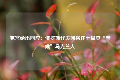 克宫给出回应：俄罗斯代表团将在土耳其“等候”乌克兰人  第1张