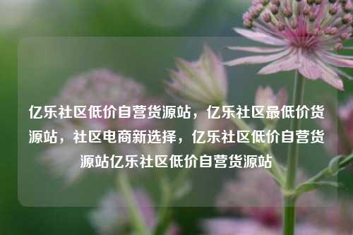 亿乐社区低价自营货源站，亿乐社区最低价货源站，社区电商新选择，亿乐社区低价自营货源站亿乐社区低价自营货源站  第1张