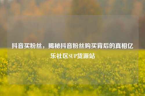 抖音买粉丝，揭秘抖音粉丝购买背后的真相亿乐社区SUP货源站  第1张