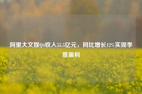 阿里大文娱Q4收入55.5亿元，同比增长12%实现季度盈利  第1张
