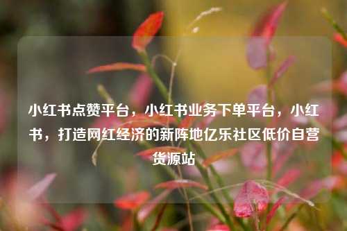 小红书点赞平台	，小红书业务下单平台，小红书，打造网红经济的新阵地亿乐社区低价自营货源站  第1张