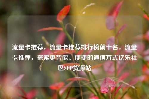 流量卡推荐	，流量卡推荐排行榜前十名，流量卡推荐，探索更智能、便捷的通信方式亿乐社区SUP货源站  第1张