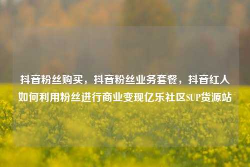 抖音粉丝购买	，抖音粉丝业务套餐，抖音红人如何利用粉丝进行商业变现亿乐社区SUP货源站  第1张