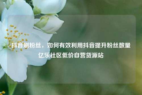 抖音刷粉丝，如何有效利用抖音提升粉丝数量亿乐社区低价自营货源站  第1张