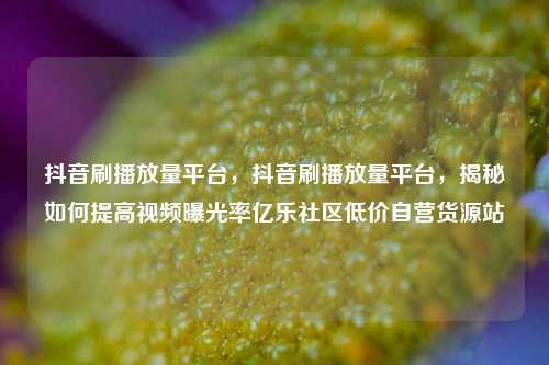 抖音刷播放量平台，抖音刷播放量平台	，揭秘如何提高视频曝光率亿乐社区低价自营货源站  第1张