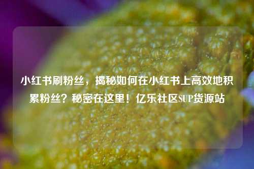 小红书刷粉丝	，揭秘如何在小红书上高效地积累粉丝？秘密在这里！亿乐社区SUP货源站  第1张