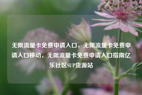 无限流量卡免费申请入口，无限流量卡免费申请入口移动	，无限流量卡免费申请入口指南亿乐社区SUP货源站  第1张