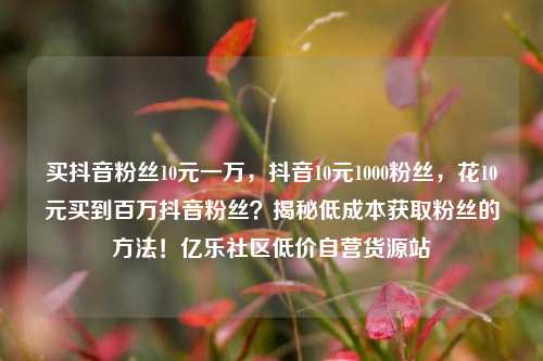 买抖音粉丝10元一万	，抖音10元1000粉丝，花10元买到百万抖音粉丝？揭秘低成本获取粉丝的方法！亿乐社区低价自营货源站  第1张