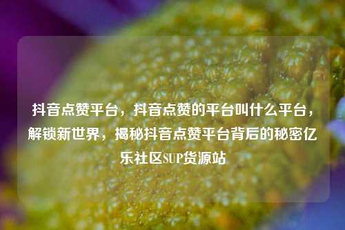 抖音点赞平台，抖音点赞的平台叫什么平台	，解锁新世界，揭秘抖音点赞平台背后的秘密亿乐社区SUP货源站  第1张