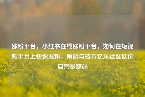 涨粉平台，小红书在线涨粉平台	，如何在短视频平台上快速涨粉，策略与技巧亿乐社区低价自营货源站  第1张