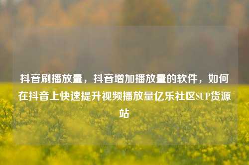 抖音刷播放量，抖音增加播放量的软件，如何在抖音上快速提升视频播放量亿乐社区SUP货源站  第1张