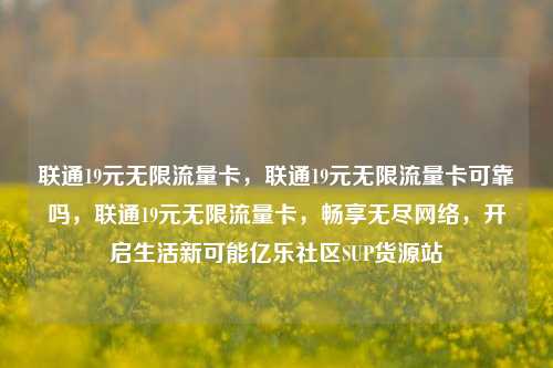 联通19元无限流量卡，联通19元无限流量卡可靠吗	，联通19元无限流量卡，畅享无尽网络，开启生活新可能亿乐社区SUP货源站  第1张