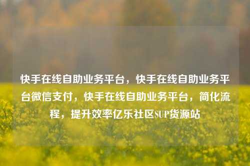 快手在线自助业务平台，快手在线自助业务平台微信支付	，快手在线自助业务平台，简化流程，提升效率亿乐社区SUP货源站  第1张