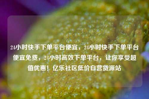 24小时快手下单平台便宜，24小时快手下单平台便宜免费	，24小时高效下单平台，让你享受超值优惠！亿乐社区低价自营货源站  第1张