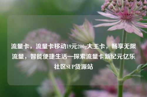 流量卡，流量卡移动19元200g大王卡	，畅享无限流量，智能便捷生活—探索流量卡新纪元亿乐社区SUP货源站  第1张