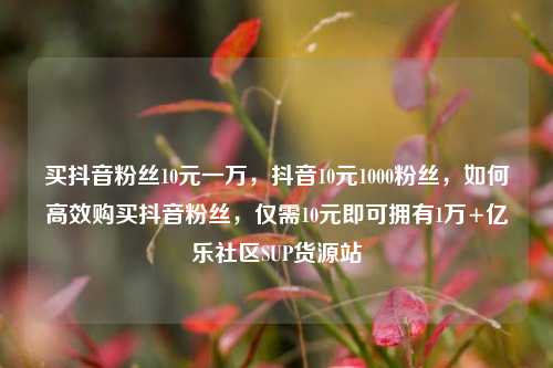 买抖音粉丝10元一万	，抖音10元1000粉丝，如何高效购买抖音粉丝，仅需10元即可拥有1万+亿乐社区SUP货源站  第1张