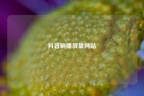 抖音刷播放量网站  第1张