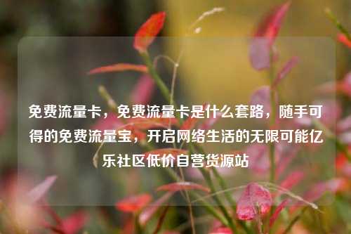 免费流量卡，免费流量卡是什么套路	，随手可得的免费流量宝，开启网络生活的无限可能亿乐社区低价自营货源站  第1张